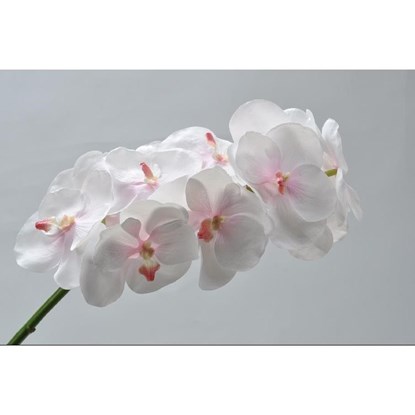 Orchidej Vanda sv.růžová 89 cm_0