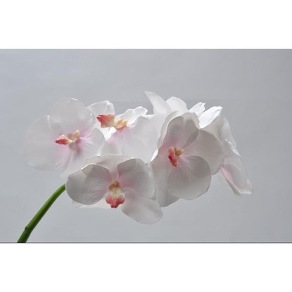 Orchidej Vanda sv.růžová 59 cm_0