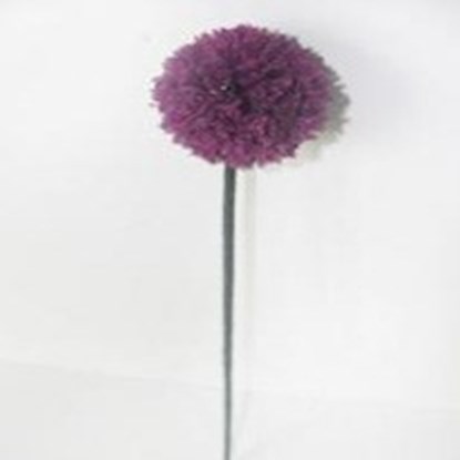 Kytka Allium D.55cm - fialová_0