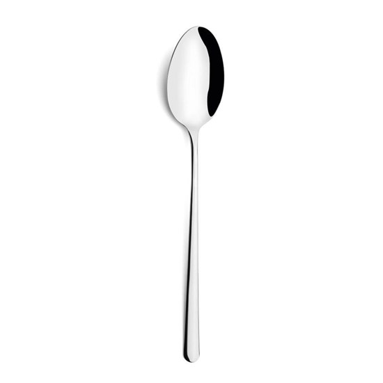 Servírovací lžíce ICON_0