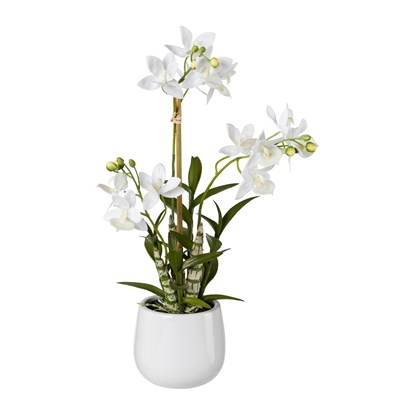 Japanská orchidej 55 cm (vč.květináče)_0