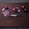 Špikovací nůž 10cm ZWILLING PRO_3