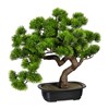 Umělá dekorace bonsai borovice ca 40x40 cm v černé plastové misce_1