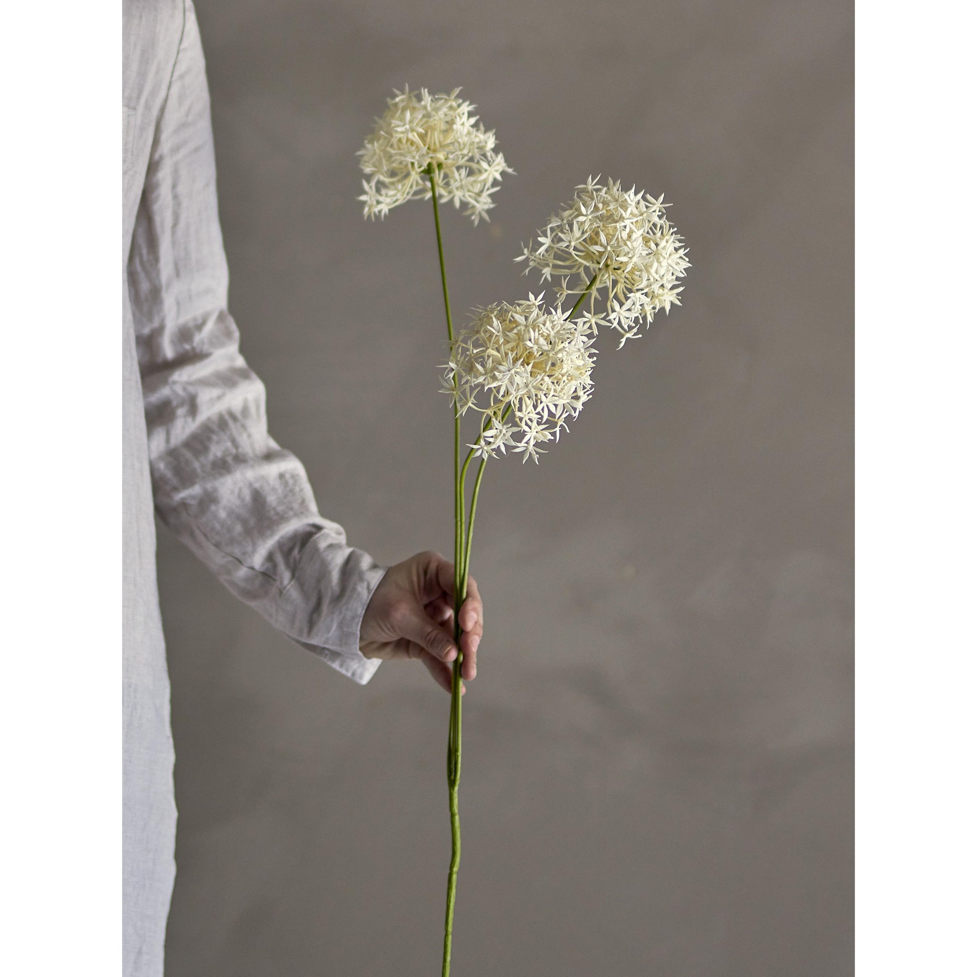 Umělá květina ALLIUM V.63,5cm bílá_0