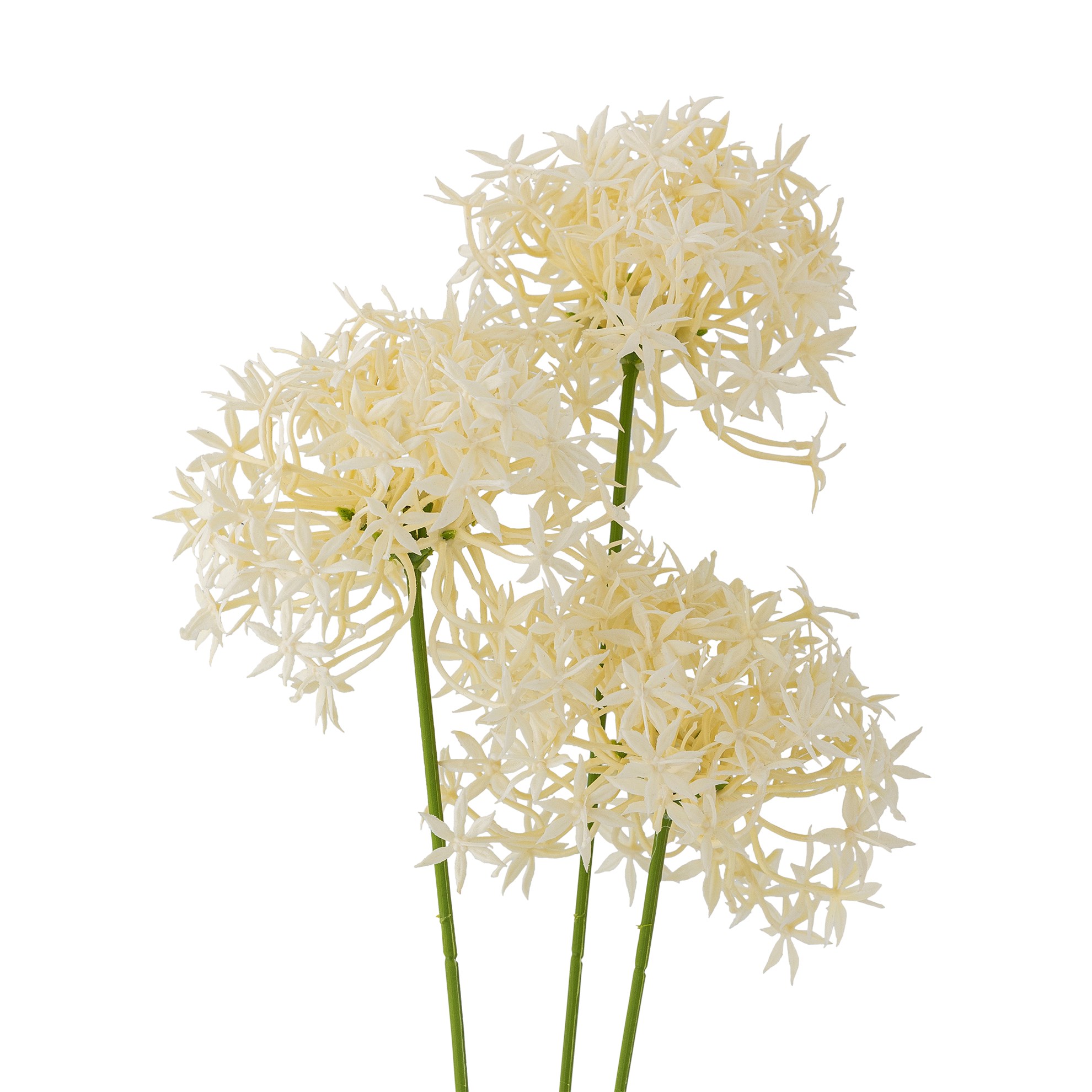Umělá květina ALLIUM V.63,5cm bílá_1