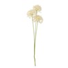 Umělá květina ALLIUM V.63,5cm bílá_2