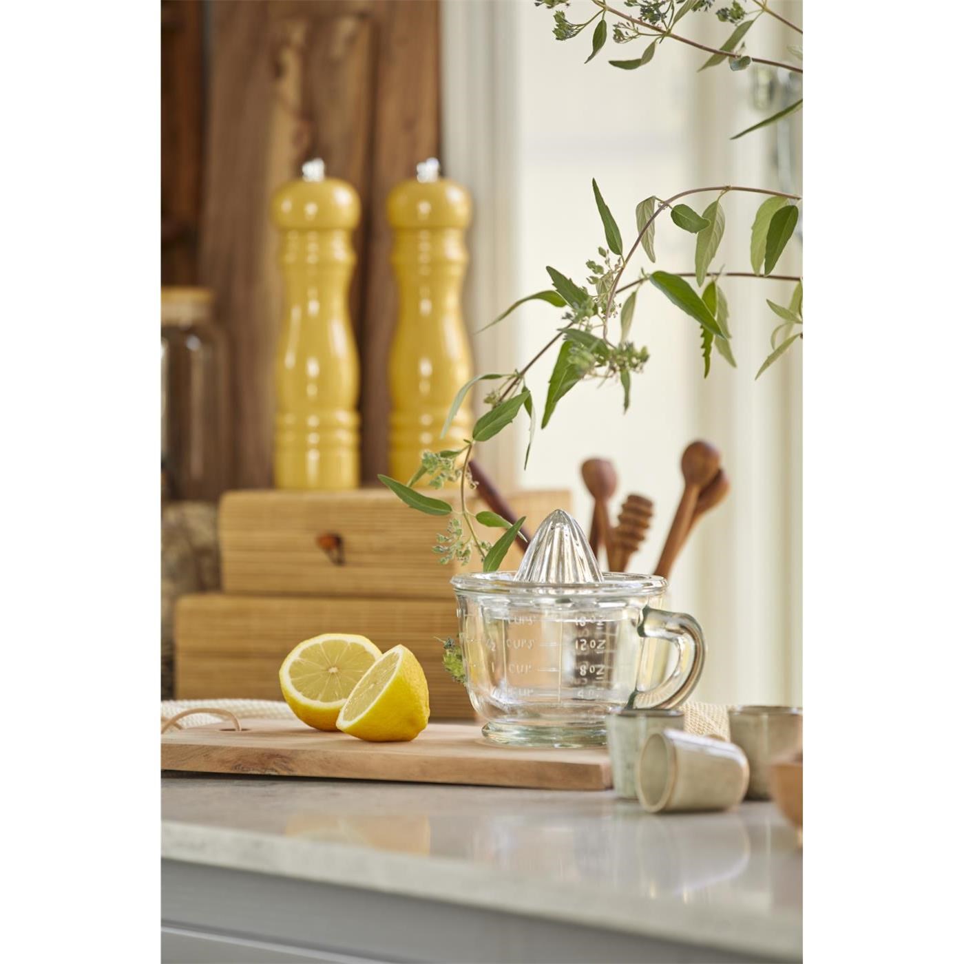 Odšťavňovač na citrusy Ib Laursen_2