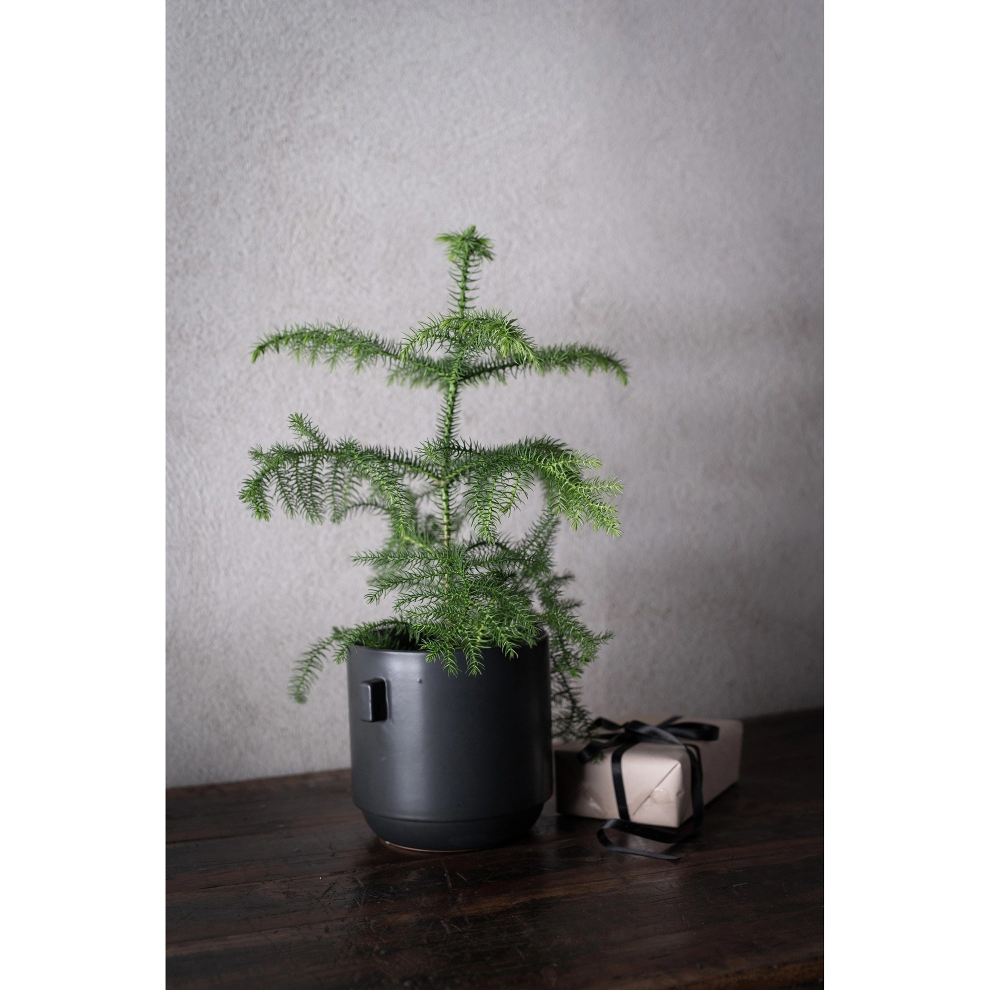 Kameninový květináč RACHEL V.14cm černý_0