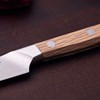Špikovací nůž 10 cm ZWILLING PRO dub_2