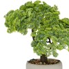 Umělá dekorace bonsai CYPŘIŠ 26cm_0