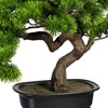 Umělá dekorace bonsai borovice ca 40x40 cm v černé plastové misce_0