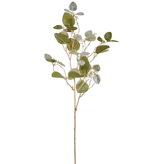 Větvička eukalyptu 76 cm zelená_1