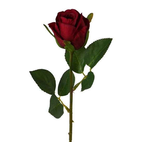 Růže 45 cm, červená_0