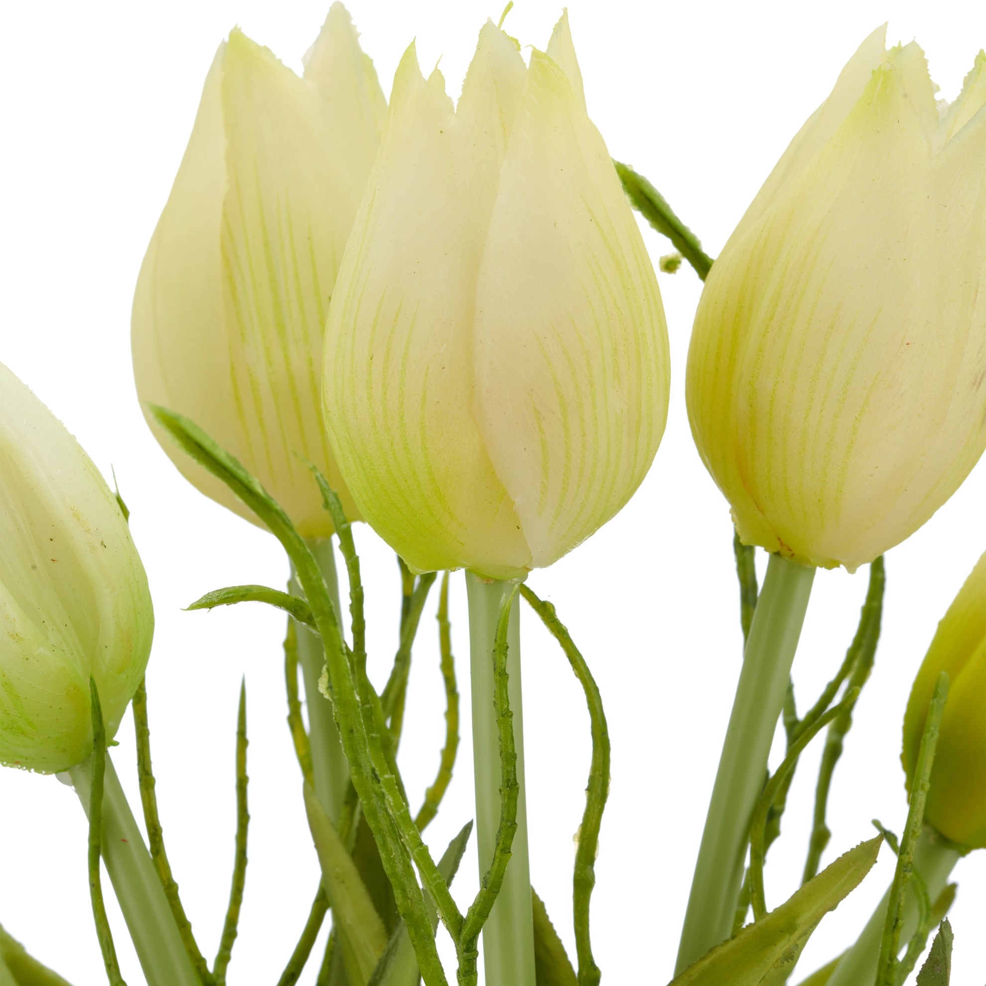 Tulipán svazek x5 s větvičkou 25 cm, bílá_0