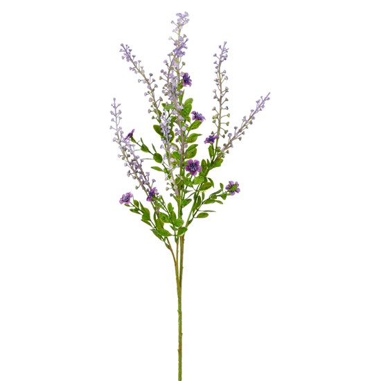 Trnovník x5 72 cm, fialová_1