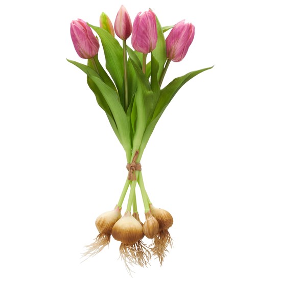 Tulipán svazek x5 s cibulemi 40 cm, světle fialová_1