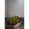 Venkovní dekorace REEDY 180xLED V.60cm černá_2